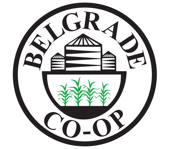 Home Belgrade